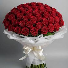 Букет 101 Красная роза Блэк Мэджик в Тельмане