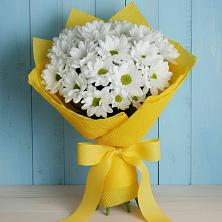 Букет цветов из:  Хризантемы в Тельмане