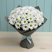 Букет цветов из:  Хризантемы в Тельмане
