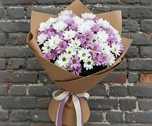 Букет цветов из:  Хризантемы в Тельмане