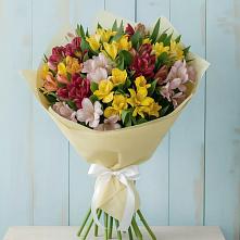 Букет цветов из:  Альстромерии в Тельмане