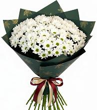 Букет цветов из:  Хризантемы в Тельмане