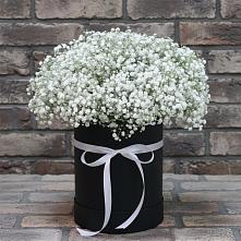Цветочная композиция из Гипсофила в шляпной коробке #REPLACE_PRED# Тельмане