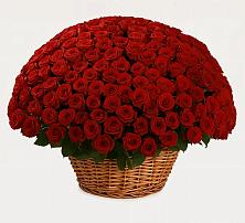 Премиум букет из: Розы в Тельмане