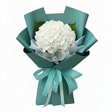 Букет цветов из:  Гортензия в Тельмане